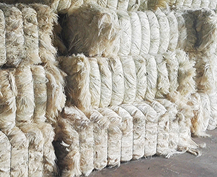 sisal fibre（China）