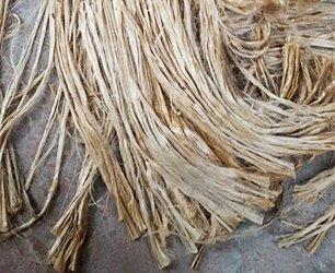 黄麻纤维-1